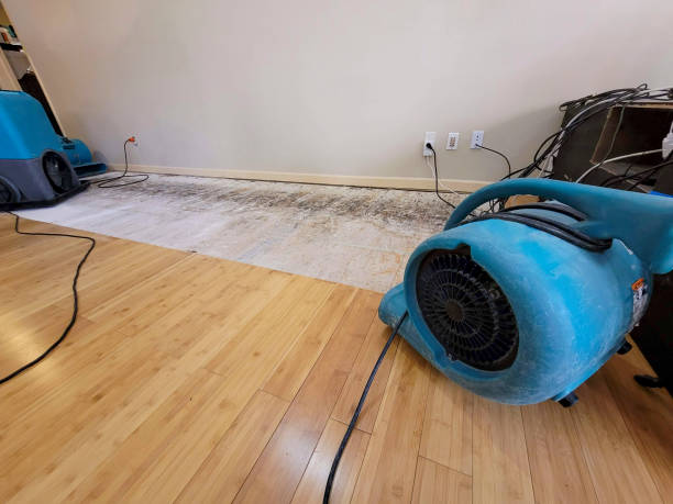 Professional Ceiling Water Damage Repair technician working in Flintville, TN